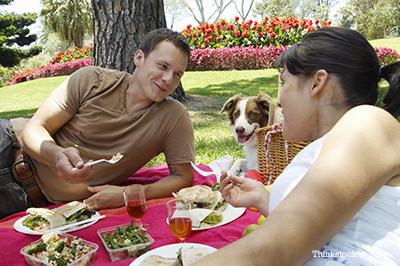 Couple having a picnic with their dog