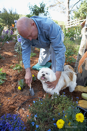 Guy gardening with his dog