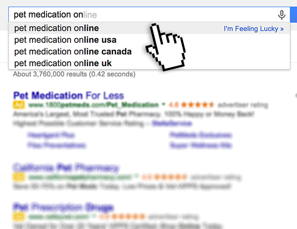 Online search for pet medication