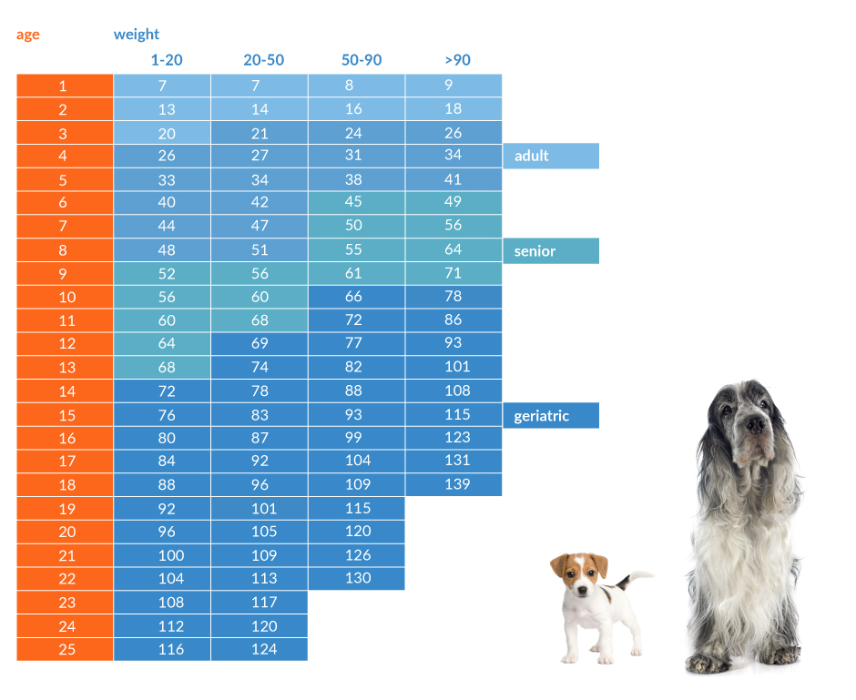 minimum age for service dog