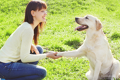 Woman smiling at her Labrador