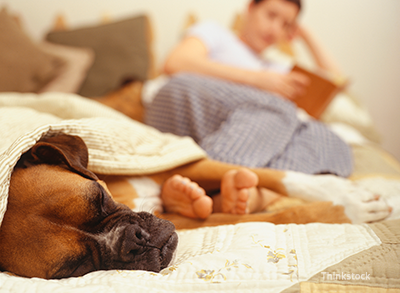 how long will my dog live with kidney failure