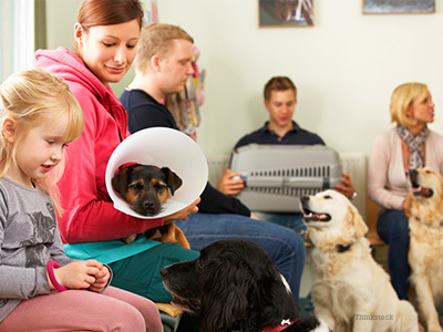 Animal hospital waiting room