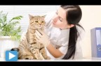 How to Have a Happy Vet Visit with Your Cat
