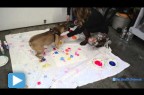 Painting with Pups