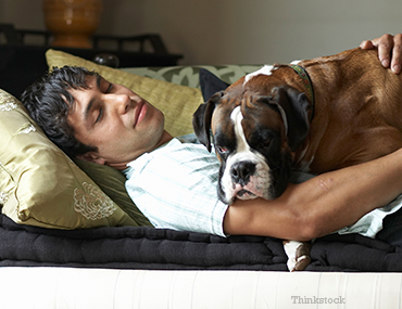 Person laying down with their dog