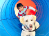 Can Dogs Help Children With Autism?