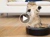 Is it a Vacuum or a Fancy Car for Pets?