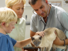 AHA Study: Adopted Pets Receiving Veterinary Care More Likely To Stay With New Families