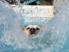 Splash! 5 great ways to keep your dog safe around water.