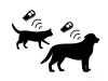 Microchipping 101: Why is it Important to Microchip My Pet?