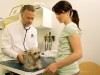 Five Questions To Ask Your Veterinarian
