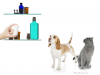 Tylenol Poisoning in Dogs and Cats 