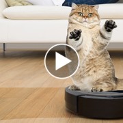 Is it a Vacuum or a Fancy Car for Pets?