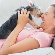 Dog licking owner