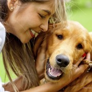 Valentine's Day with Pets