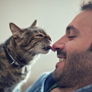 cat licking man