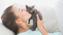 Supporting Feline Health Research