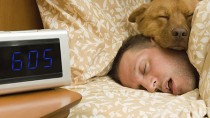 How Does Daylight Savings Time Affect Your Dog?