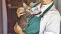 Volunteer holding a shelter cat