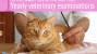 Yearly veterinary examinations