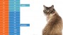Cat age chart 