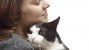 Cancer and Cats: What Every Pet Parent Should Know