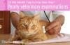 Yearly veterinary examinations