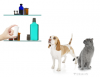 Tylenol Poisoning in Dogs and Cats 